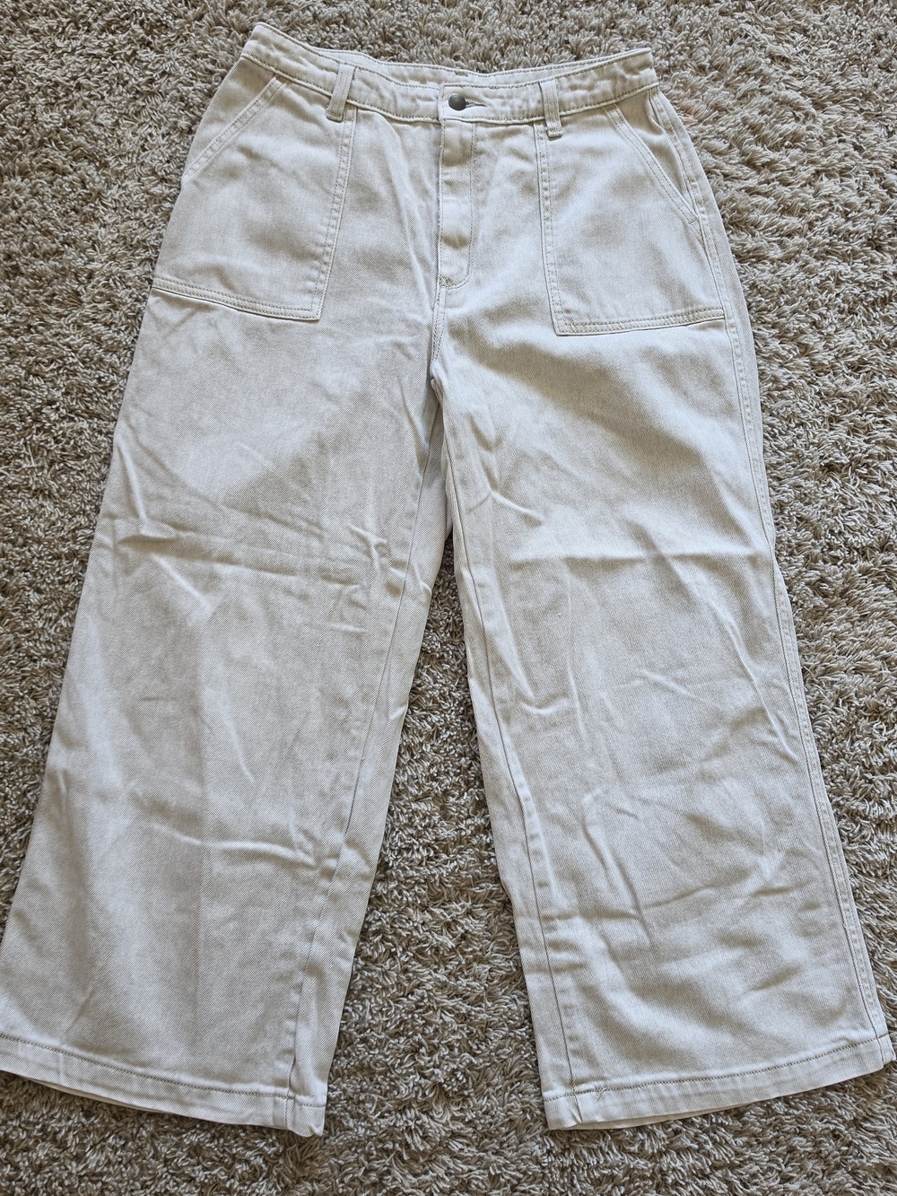 Universal Thread Wide-Leg Canvas Chinos in Light Cream